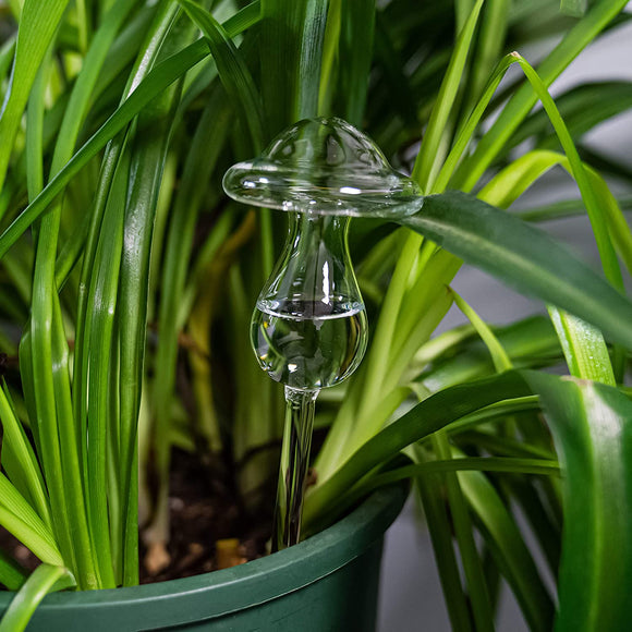 How to use a watering globe