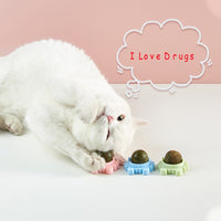 Cute Crab Catnip Ball - Pet Toy | Enoki Shop