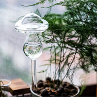 Watering globe mushroom for plants