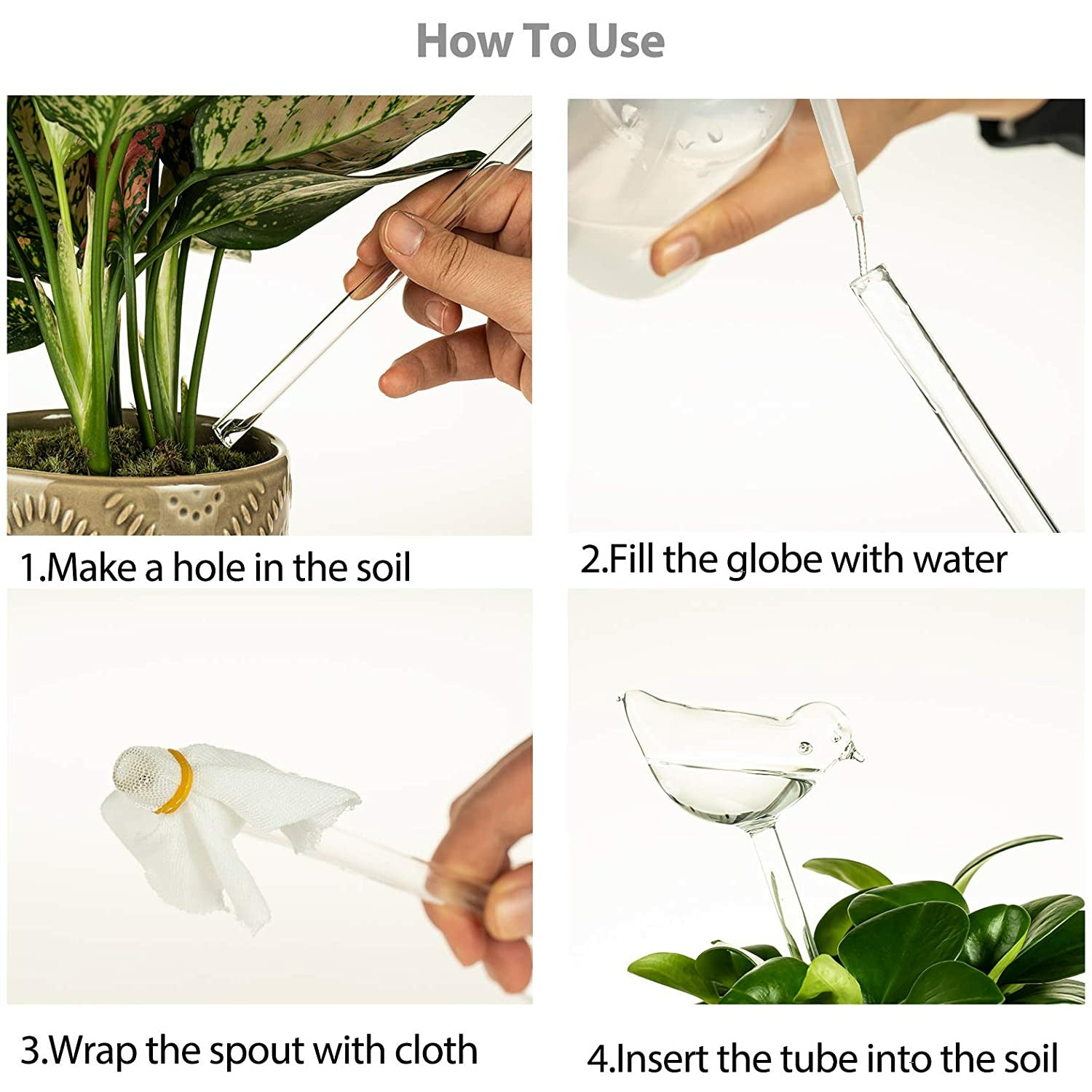 Watering globe mushroom for plants