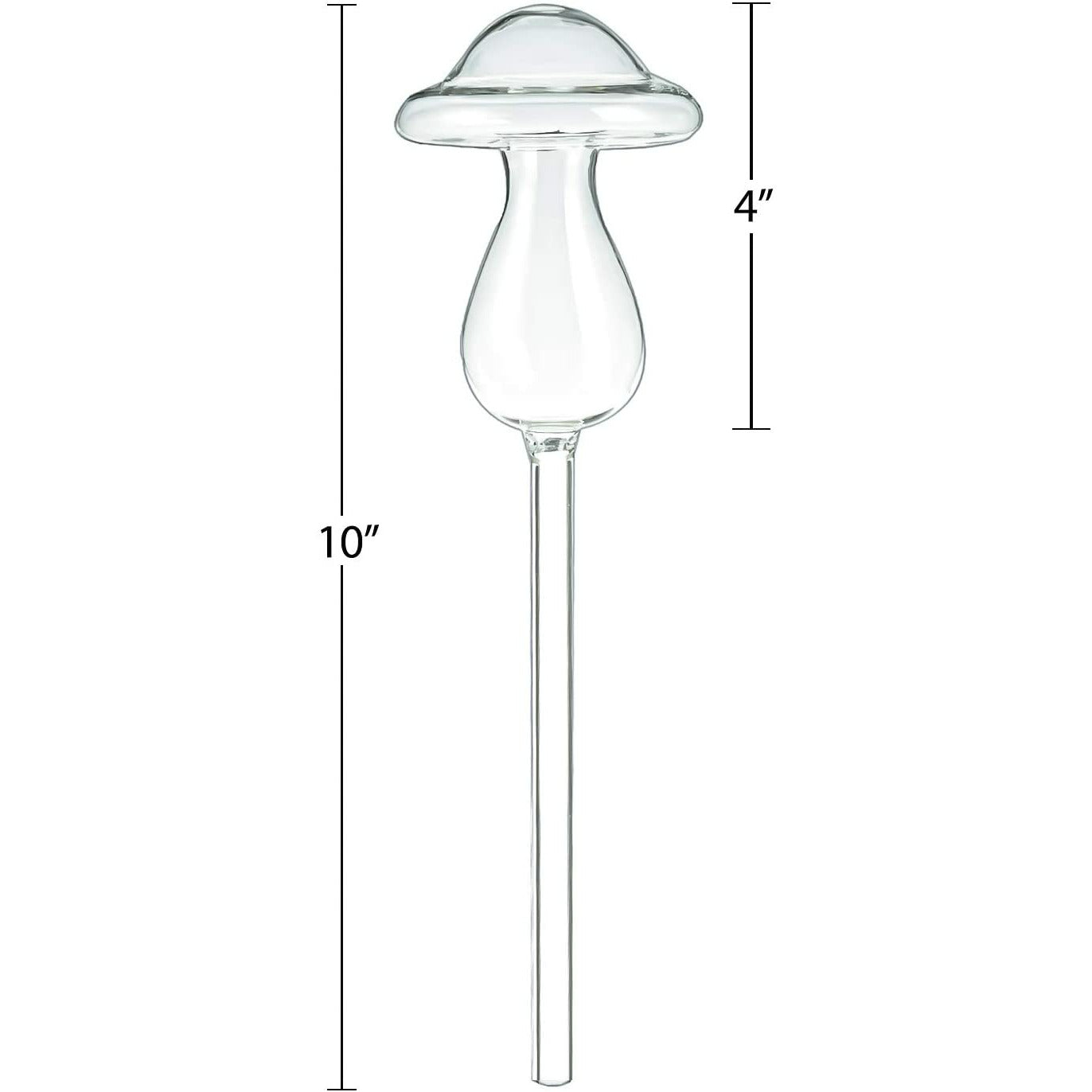 Watering globe mushroom for plants